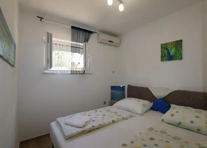 Apartament Zinka